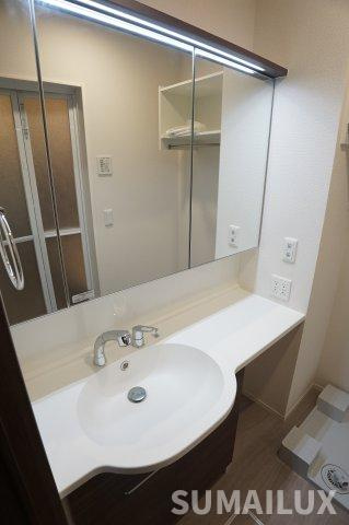 D-ROOM パレットハウスの独立洗面台