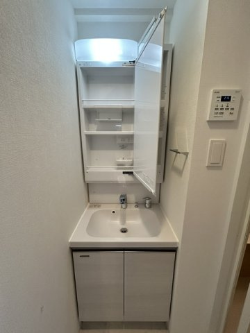 IW RESIDENCE大阪CREST TAPPの洗面所