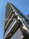 Ｌｏｕｉｓ　Ｃｏｕｒｔ　Ｋｉｔａｓｈｉｎａｇａｗａの画像