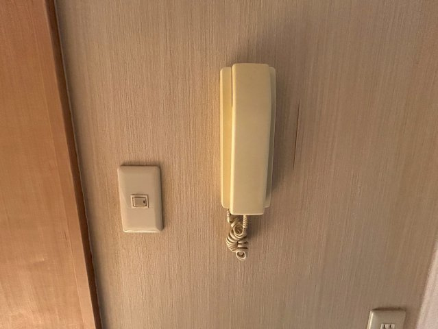 グリーンマンション