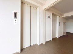 ビューネタワー平井（15階部分）／仲介手数料無料／内装フルリノベーションのその他共用部分