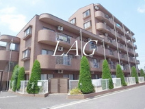 サンプレイス早宮の画像
