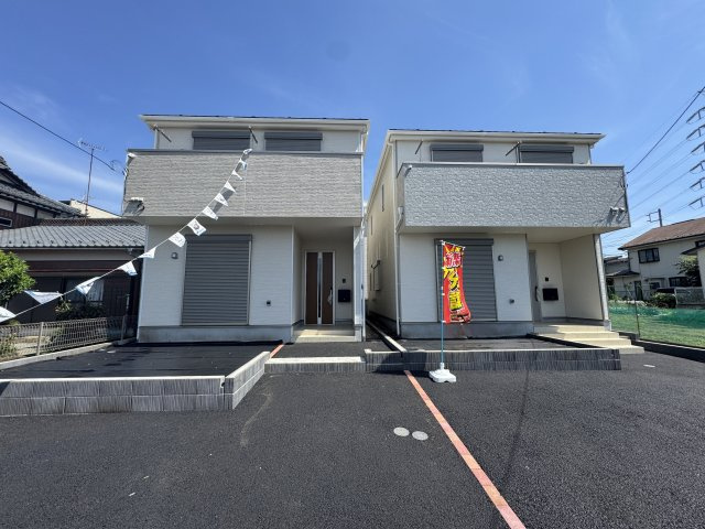 会員限定