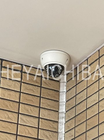 ラヴィエント浅草言問のセキュリティ|防犯カメラ