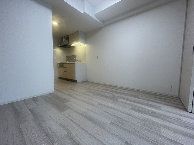 大阪市西区北堀江１丁目の賃貸マンションの内装