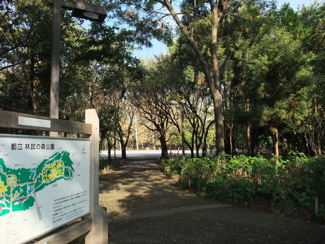 Ｍａｉｓｏｎ　ｄｅ　Ｐａｃｉｆｉｃのその他|林試の森公園