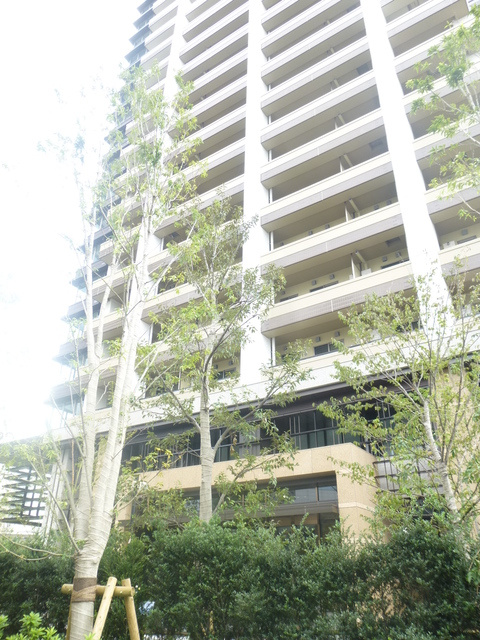 Brillia Towers 目黒 サウスレジデンスの外観