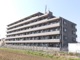アバーロの画像