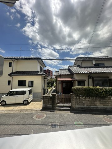 オーガナイズツリー の展望
