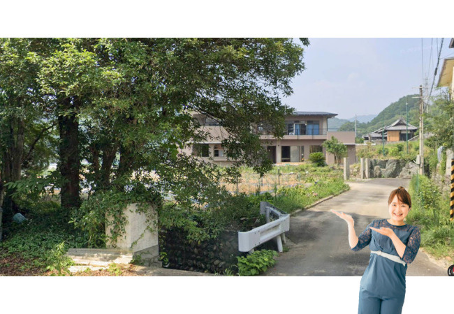上高野町のおトチ　松山市上高野町売土地