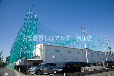 CHACHAの周辺