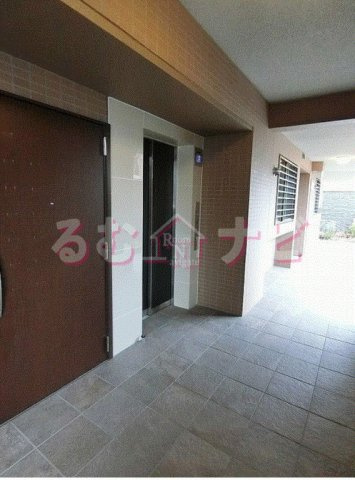 福岡市南区大楠３丁目の賃貸マンションのその他|その他