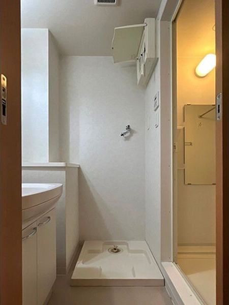COZY APARTMENT YADAの洗面所