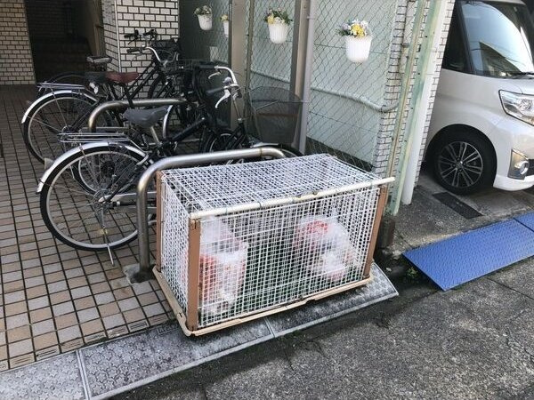 レイナビルのその他共用部分