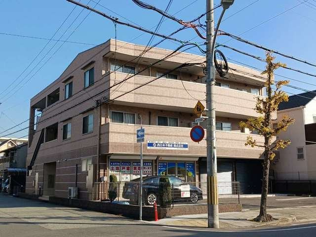 ネオグレース