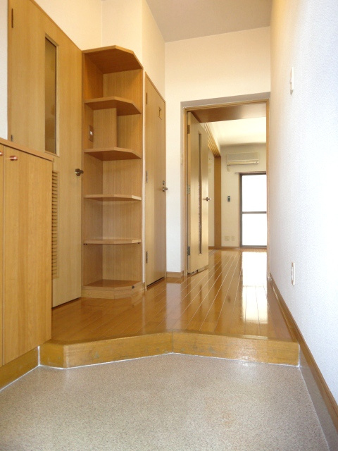 ヒノデカン【キャッシュバック対象物件】の玄関|落ち着いた玄関です