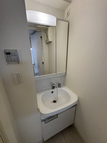 プレサンス丸の内リラティの洗面所