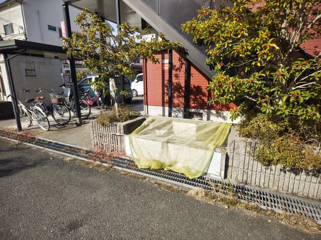 南国スターブルのその他