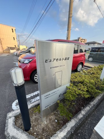 ピュア　セルト森尾のその他