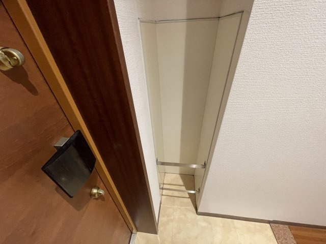 マスターズレジデンス道頓堀Ⅱの収納