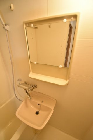 ディナスティ松屋町の洗面所