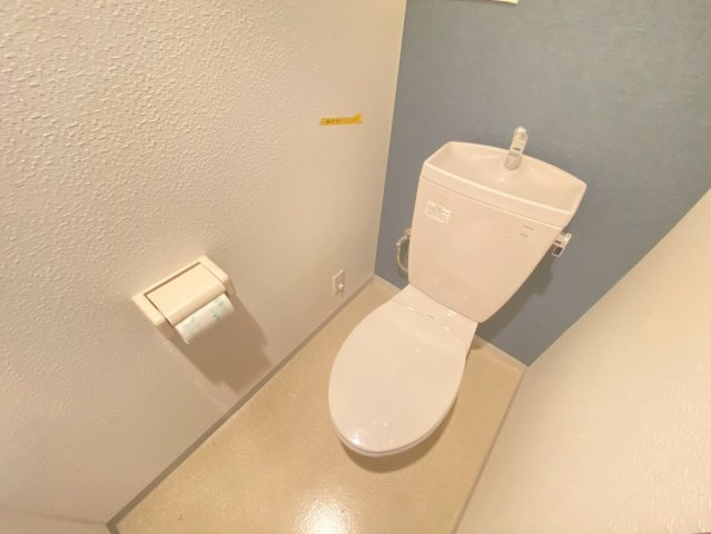 ラマージュⅢのトイレ