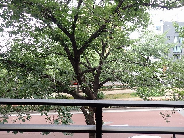 PRIMAVERA桜坂の展望