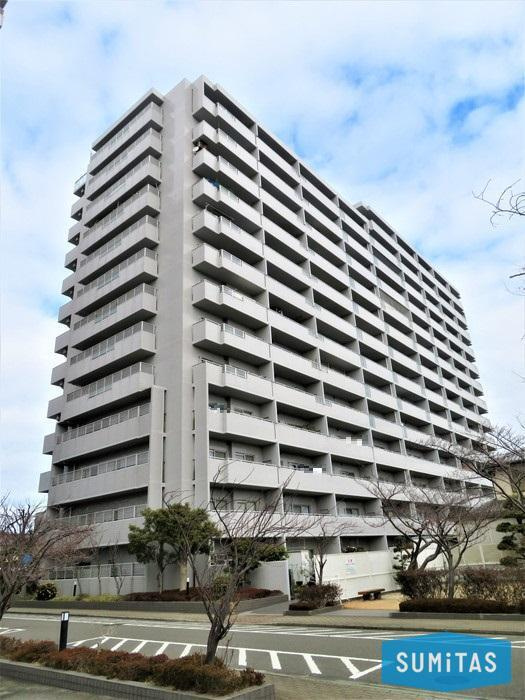 松山市辰巳町にある、14階建てのマンションになります♪
