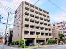 イーリス　ニシオオジマの画像