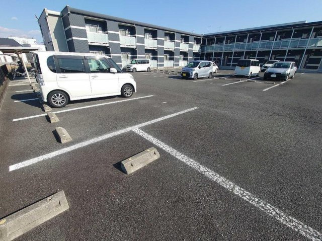 レオネクストディアスのその他
