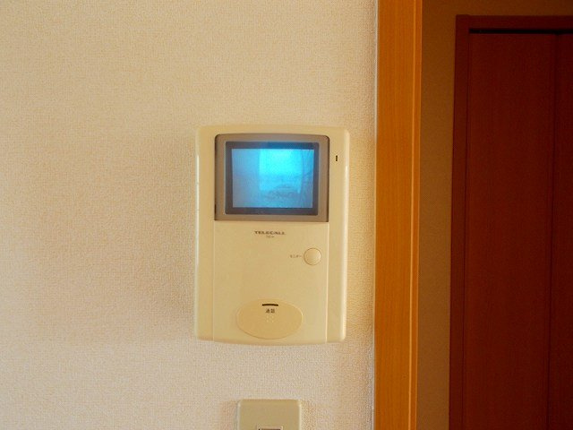 シューネスハイムⅠのセキュリティ