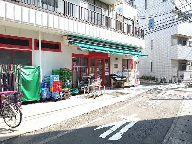 レオパレスペルア高津の周辺