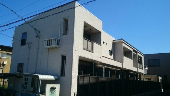 楓
