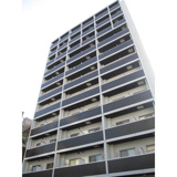 glanzの画像
