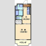 ドリームピアの画像