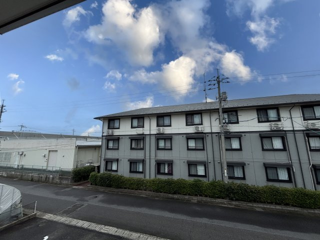 ファインＤの内装