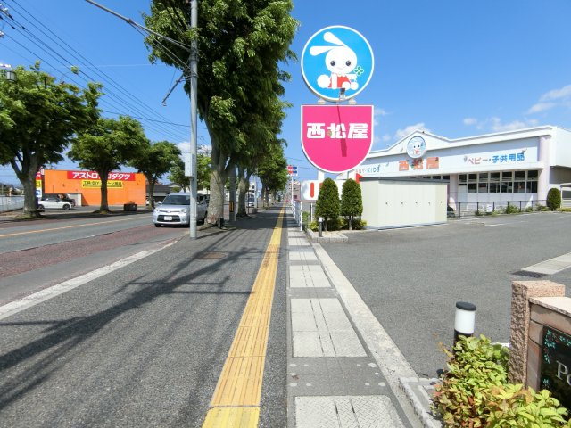 ポライトリー・ケイの周辺