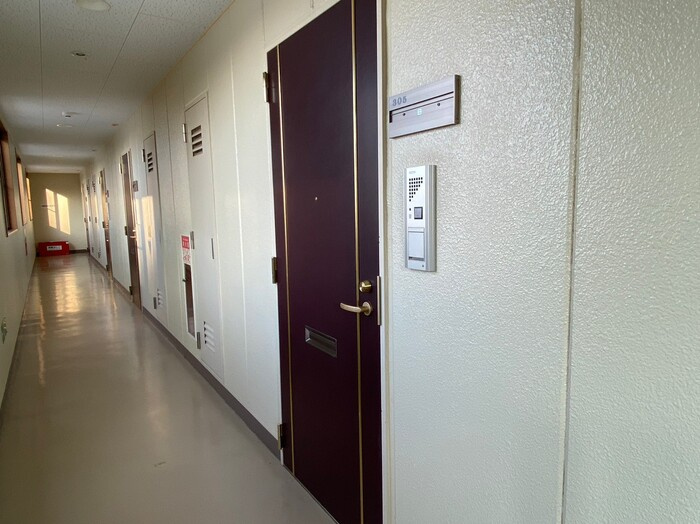 大安寺マンションの玄関