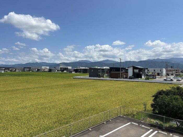 NICO1の展望