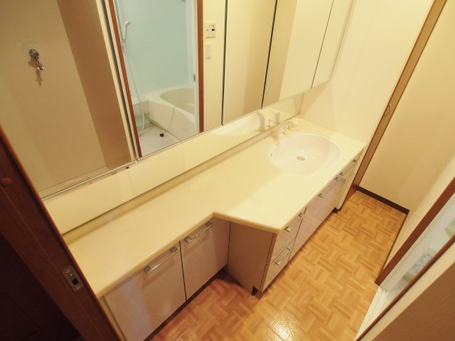 ニューキャッスルタキモトの洗面所