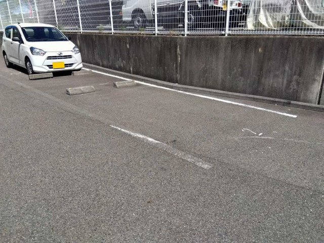 レオネクストウリュウのその他