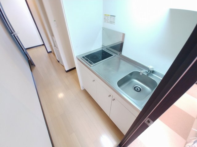 レオネクストウリュウのキッチン
