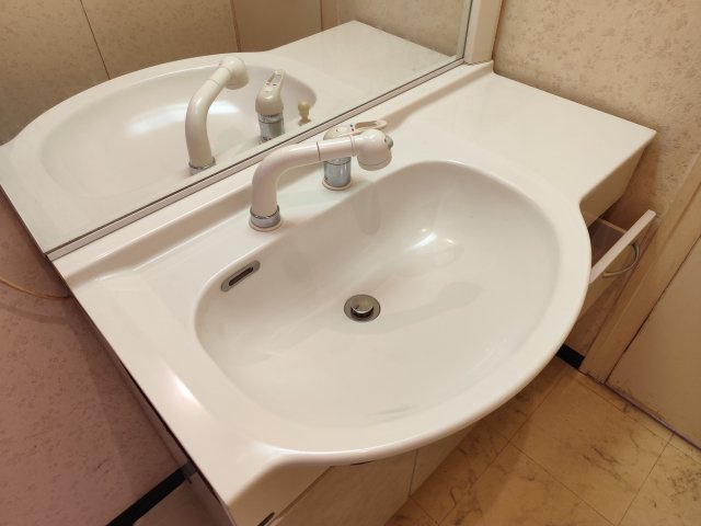辰巳橋マンションの洗面所