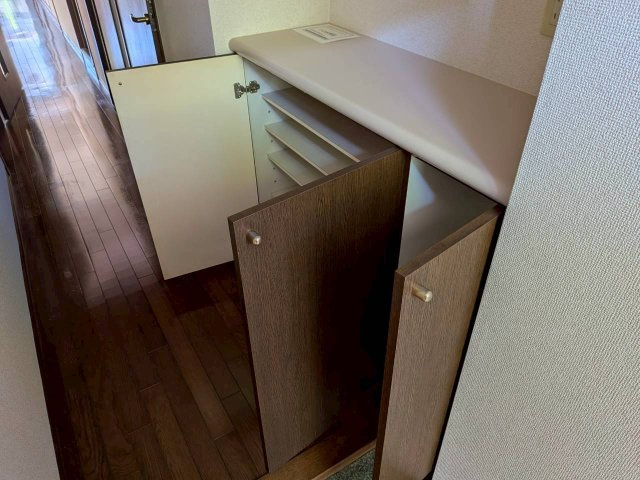 コスモ坂戸の玄関