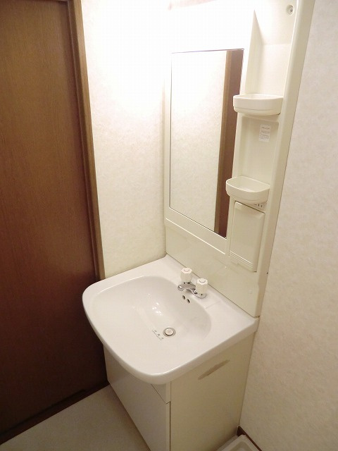 グレイスコート大浜の洗面所