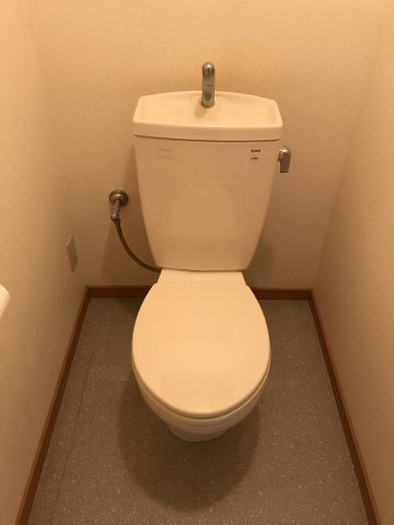 ビュースカイのトイレ|コンパクトで使いやすいトイレです