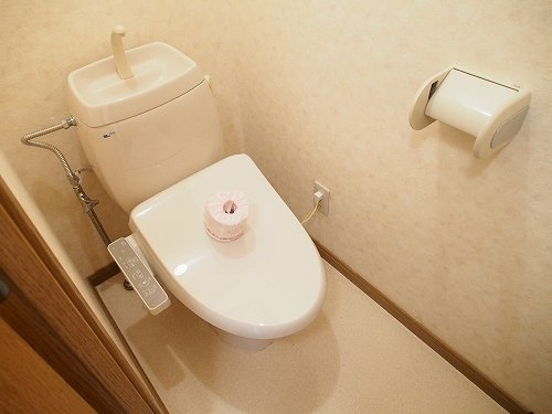 グリーンヒルズⅡのトイレ