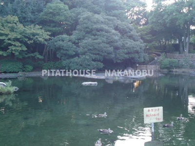 【周辺】 | Ludens戸越公園Ⅱ