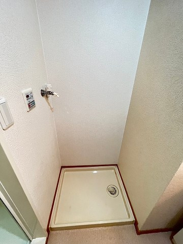ネオグレースのその他