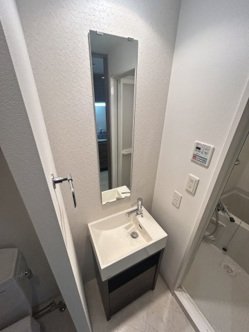 レジュールアッシュ南堀江の洗面所